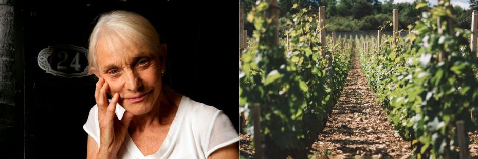 Domaine Leroy | Find Out the Wine Range